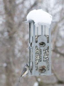 A snow-covered bird feeder with a tufted titmouse