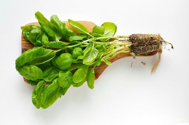 Fresh basil waiting to be added to these Veggie Pesto Burgers