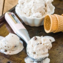 No Churn Vegan Chocolate Chip Ice Cream