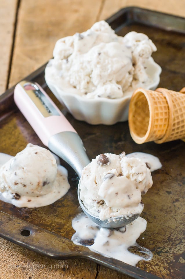 No Churn Vegan Chocolate Chip Ice Cream