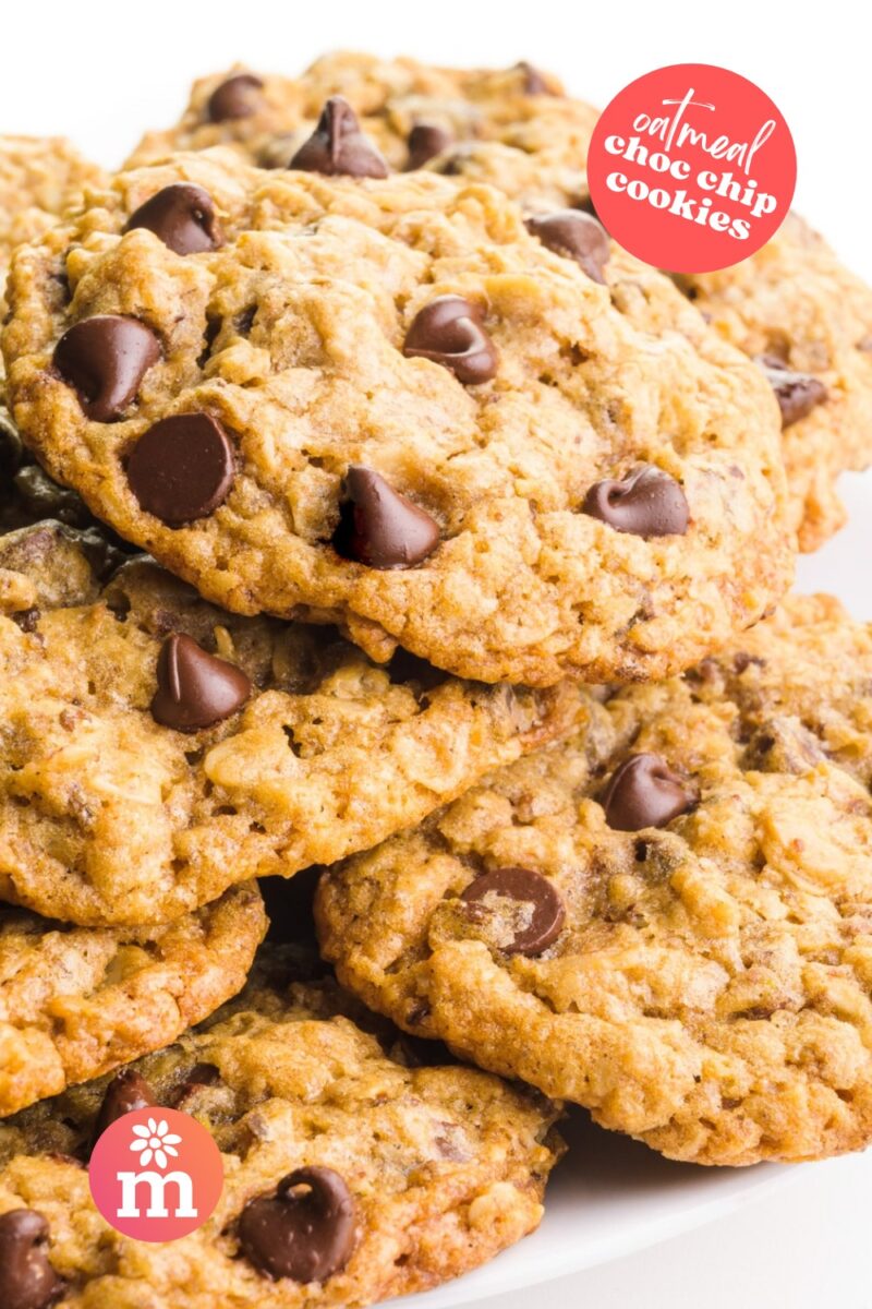 Oatmeal chocolate chip cookies stacked on a white plate, showcasing their golden-brown color and chocolate chunks.