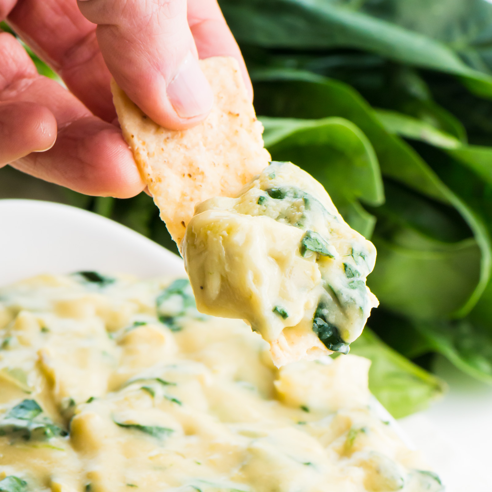 A hand holds a tortilla chip with vegan spinach artichoke dip with the bowl of dip behind it.