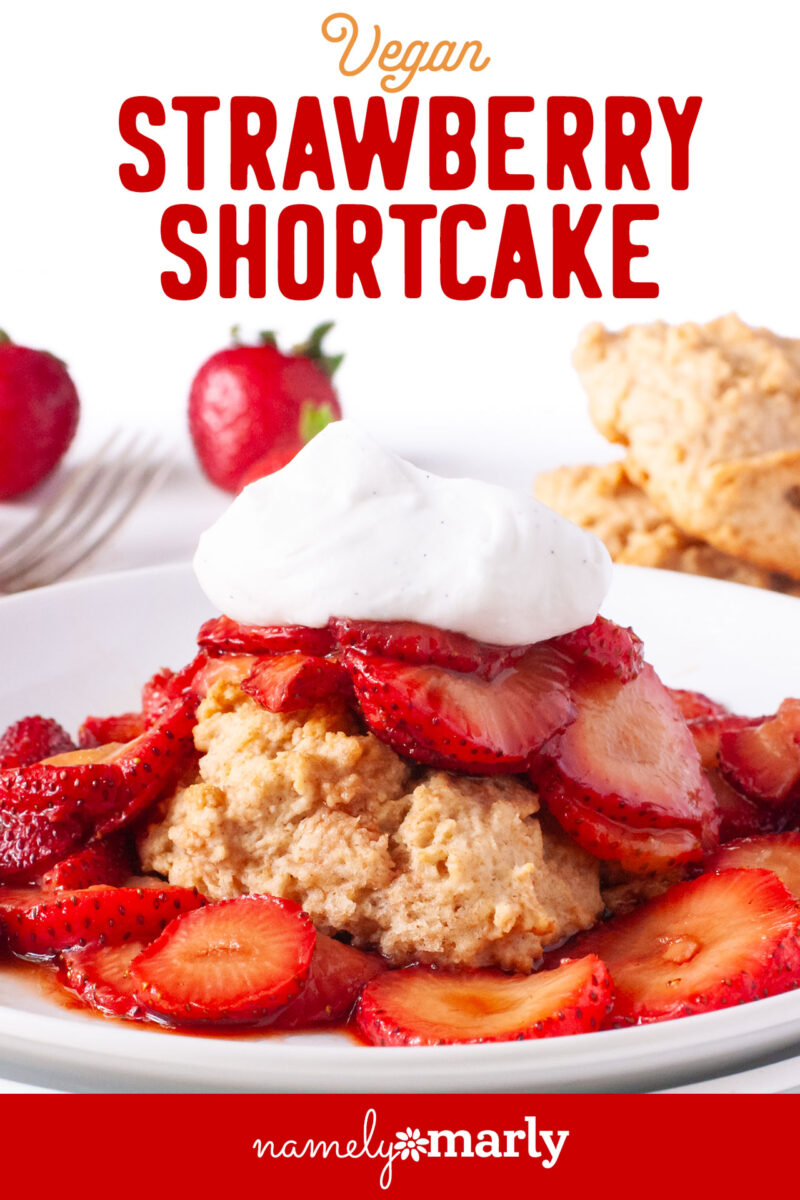 Vegan strawberry shortcake topped with whipped cream, surrounded by fresh strawberries on a white plate.