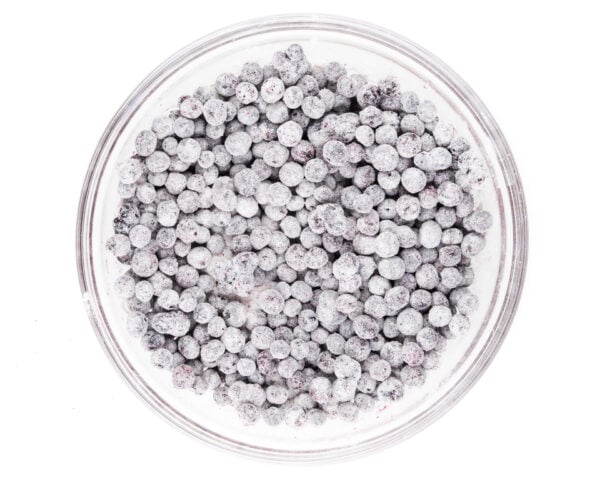 A bowl of blueberries has been coated with a flour mixture.