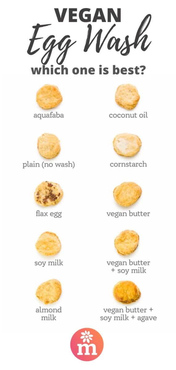 10 pie crust circles are displayed with text below them indicating the type of vegan egg wash they were baked with. The text at the top reads, "Vegan Egg wash: which one is best?" Starting at top left to right, the text below pie pieces read, "aquafaba, coconut oil, plain (no wash), cornstarch, flax egg, vegan butter, soy milk, vegan butter + soy milk, almond milk, vegan butter + soy milk + agave."