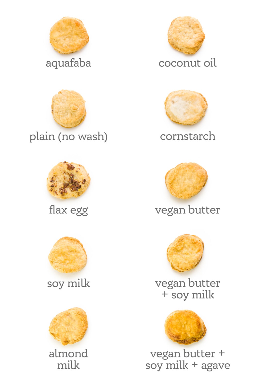 Several pie crust rounds are on a white counter. Under each one is a label indicating the type of vegan egg wash used. These include, "aguafaba, coconut oil, plain, cornstarch, flax seed, vegan butter, soy milk, vegan butter + soy milk, almond milk, and vegan butter + soy milk + agave."