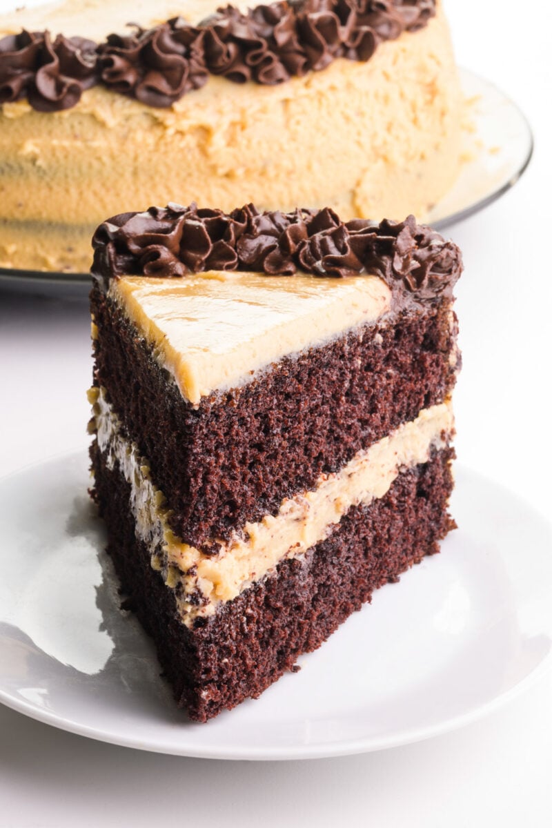 A slice of vegan chocolate peanut butter cake sits on a plate in front of a plate with the rest of the cake.