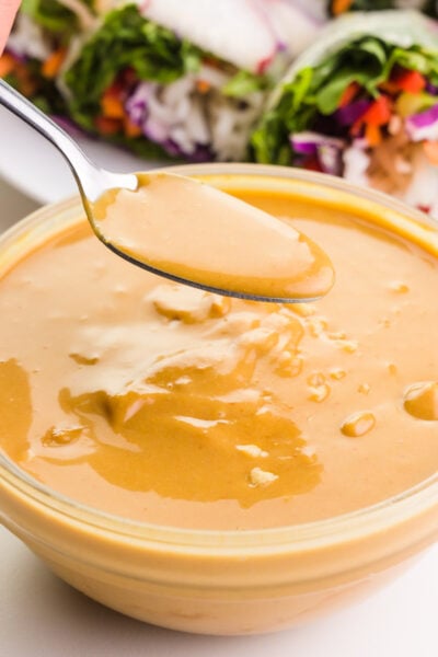 A spoon holds Vega peanut sauce hovering over a bowl of it. There are veggie rolls in the background.