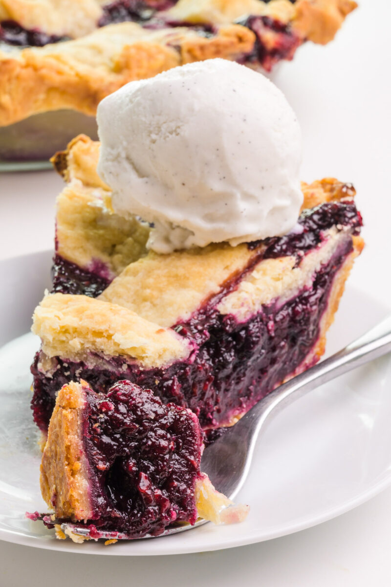 A forkful of berry pie sits on a plate with the rest of the pie. 