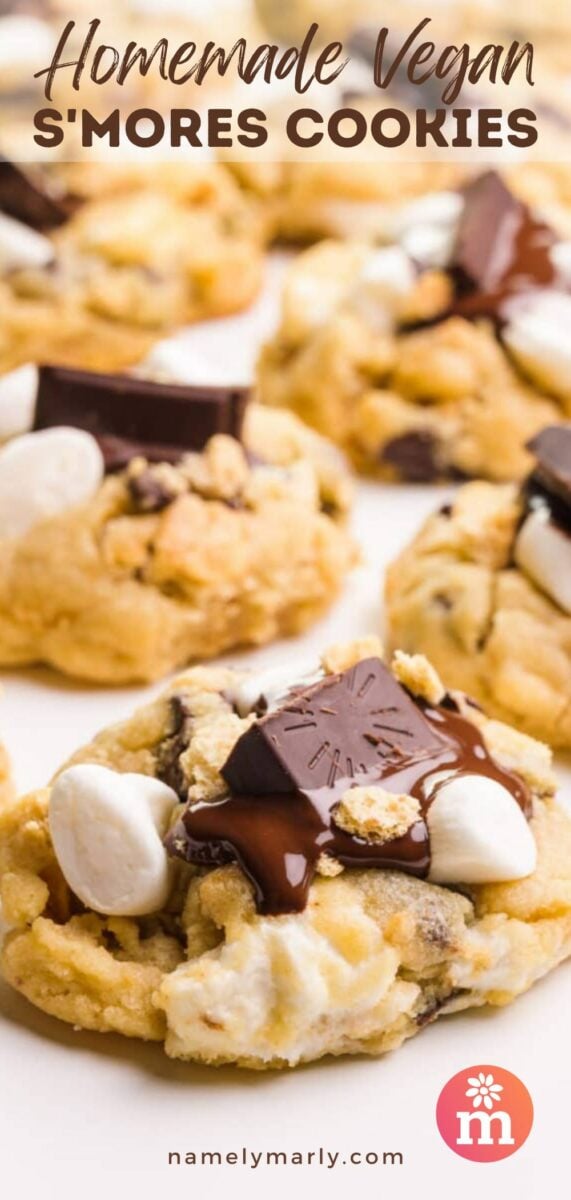 Several cookies are on a white countertop. The text on the image reads, Homemade Vegan S'mores Cookies.