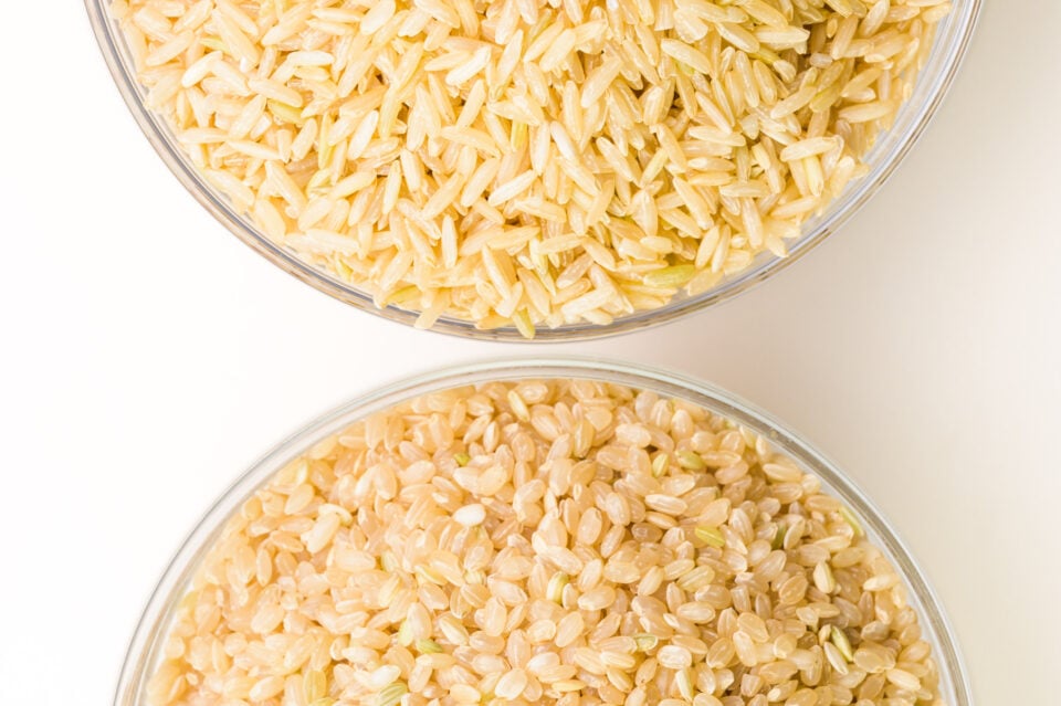 A closeup of two bowls of rice shows short-grain brown rice and long-grain brown rice.