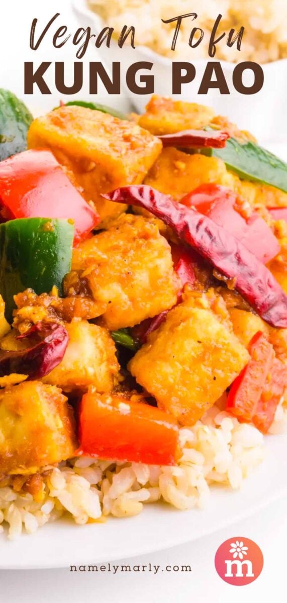 A plate of rice with spicy tofu on top has this text above it, Vegan Tofu Kung Pao.