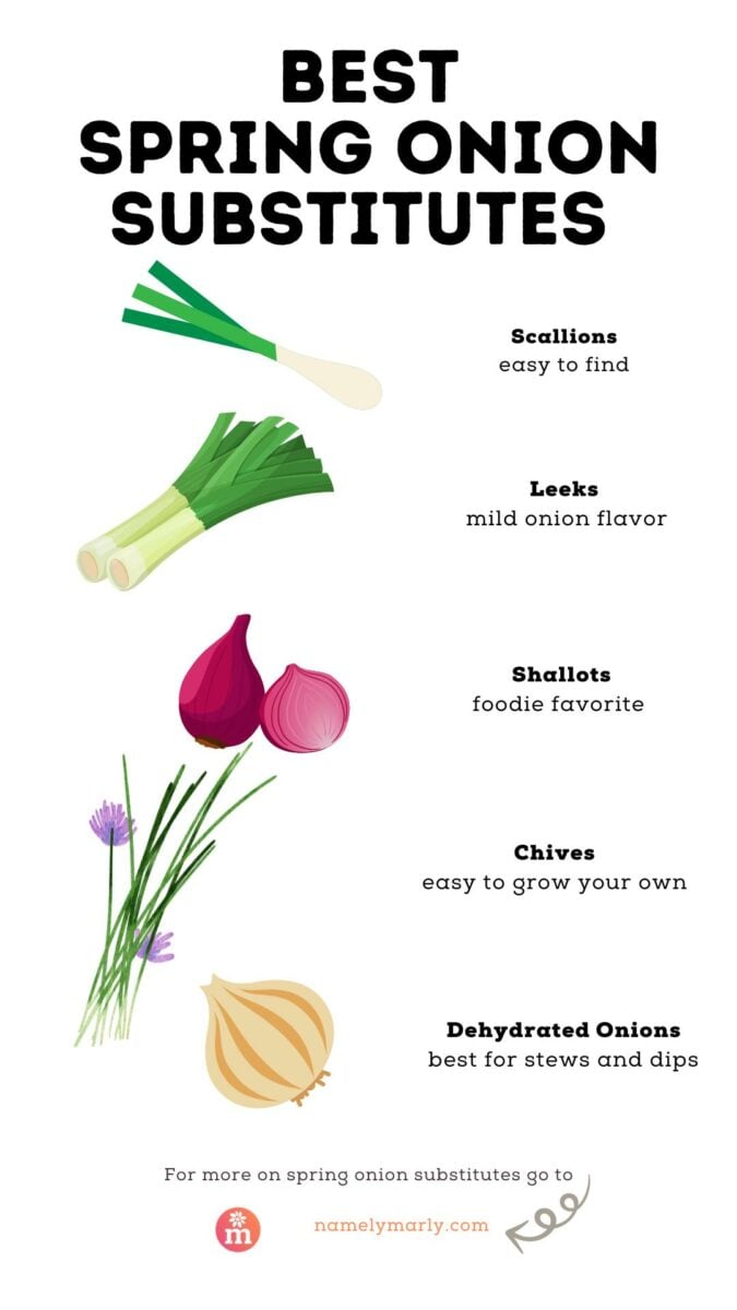 Graphic listing substitutes for spring onions: scallions, leeks, shallots, chives, and dehydrated onions with descriptions.