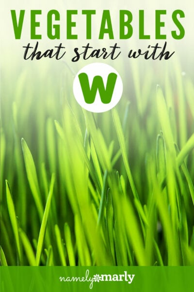 Three wild garlic flowers are showcased. Above it reads, Vegetables that start with 