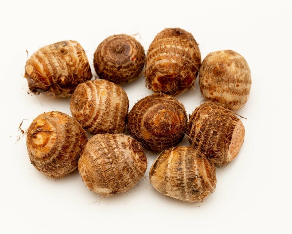 Several brown eddo root bulbs are on a white counter top.
