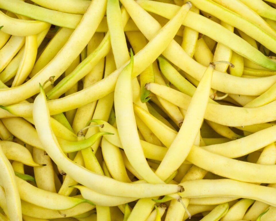 Looking down on a bunch of yellow wax beans.
