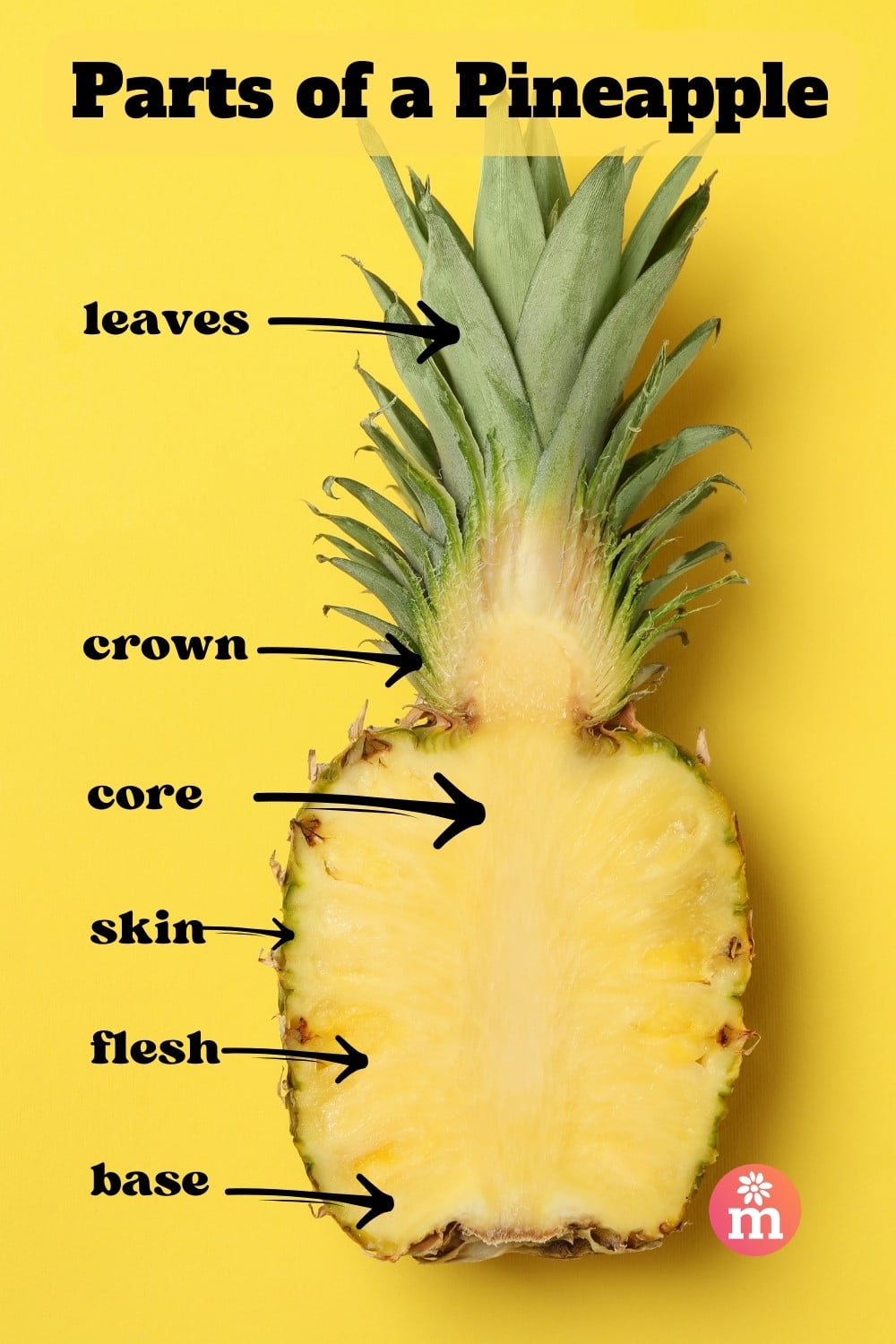 A pineapple cut in half lays on a yellow table. The text reads, Parts of a Pineapple. The labels next to the pineapple read, leaves, crown, core, skin, flesh, and base.