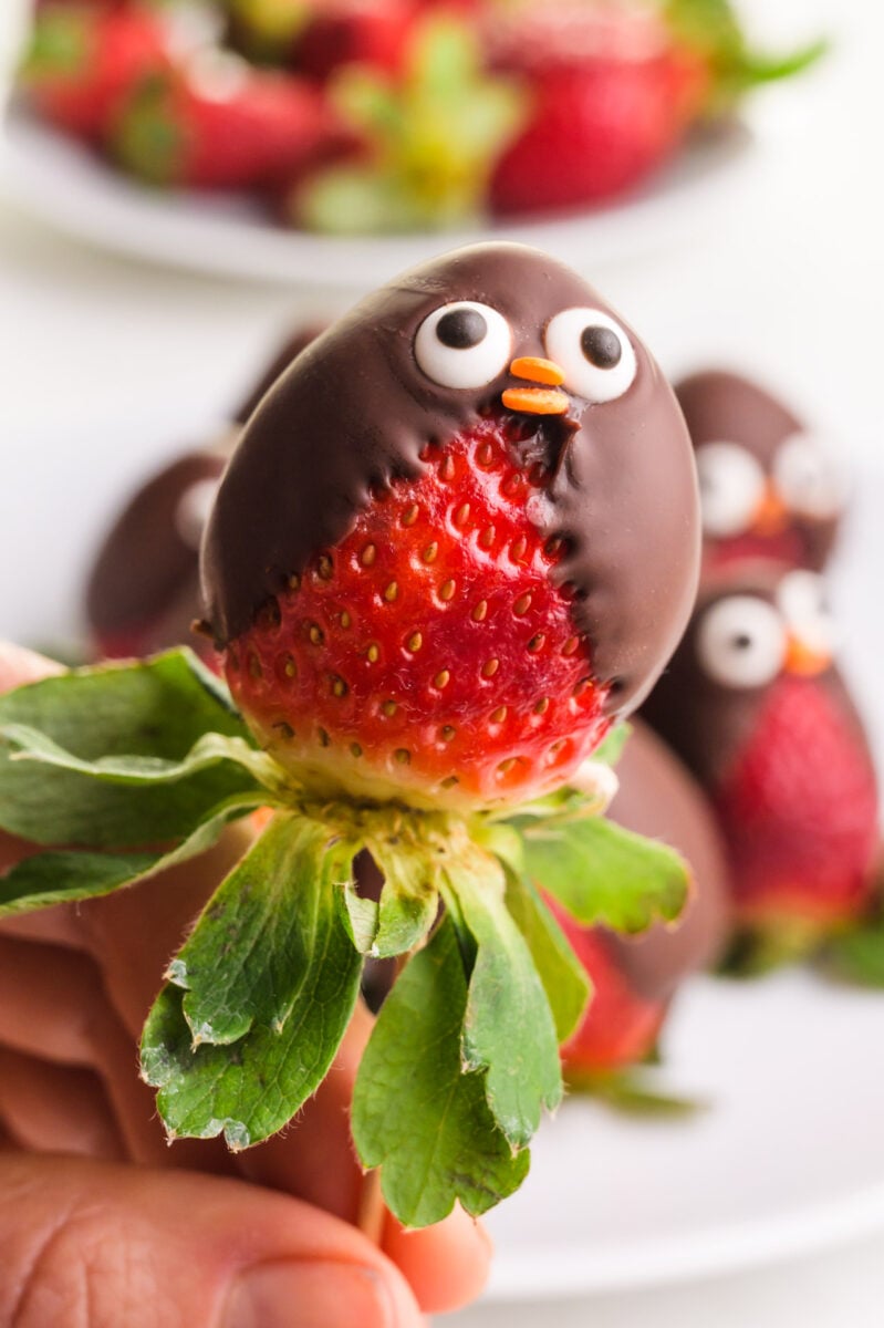 A hand holds a chocolate penguin on a stick. There are more in the background on plates.