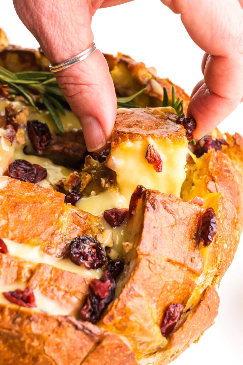 A hand pulls a bite from a cranberry pull-apart loaf.