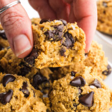 A hand holds a chewy chickpea and peanut butter cookie with lots of chocolate chips.